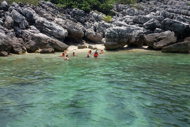 Pig Island Experience By Speed Boat, Snorkeling, Kayaking Relaxing on the Beach - Who Will Love This Tour?
