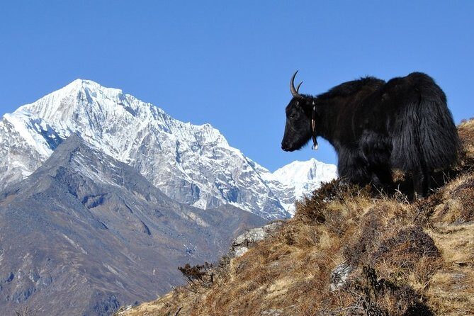 Pikey Peak Trek Everest View - Who Is This Trek Perfect For?