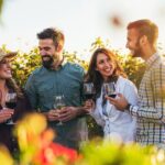 Placer County Wine Tasting Pass - An In-Depth Look at the Tour
