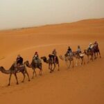 Pleasant Non-Touristic Overnight Camel Safari (From 2:00 PM to Approx. 10:30AM) - The Heart of the Experience: The Desert and the Camel Ride