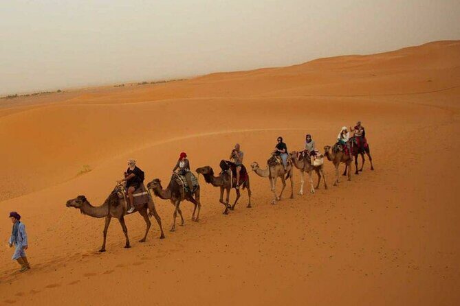 Pleasant Non-Touristic Overnight Camel Safari (From 2:00 PM to Approx. 10:30AM) - The Heart of the Experience: The Desert and the Camel Ride