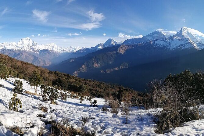 Pokhara: 4 Day Poon Hill Trek - Final Thoughts