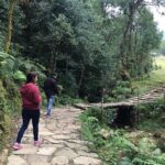 Pokhara: Day Hiking form Dhampus to Australian Camp - The Transport and Logistics