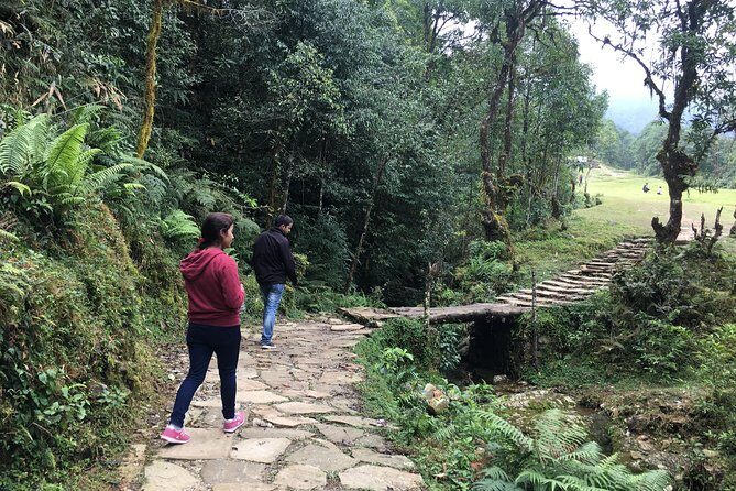 Pokhara: Day Hiking form Dhampus to Australian Camp - The Transport and Logistics