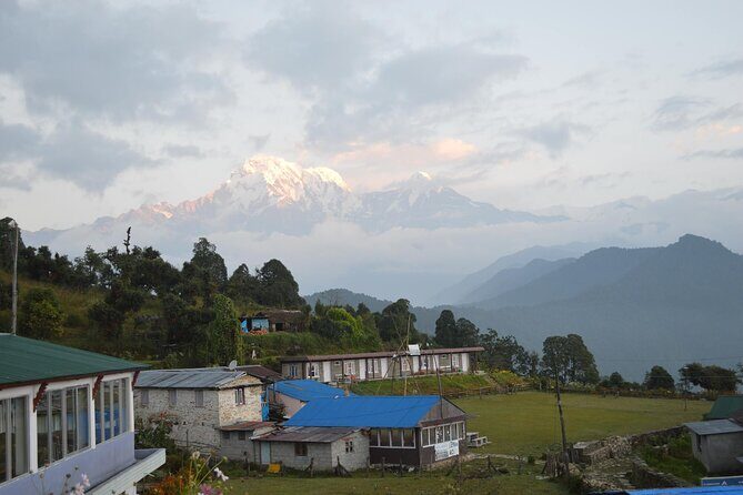 Pokhara: Dhampus Easy Trek for Families with YoungKids 2 Day Tour - Who Is This Tour Best For?