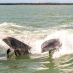 Pontoon Boat Rental Crystal River - Why Choose This Trip?