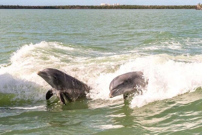 Pontoon Boat Rental Crystal River - Why Choose This Trip?