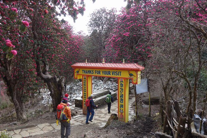 Poonhill Trek - Practical Considerations