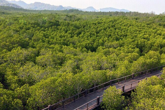 Pranburi Forest Park and Khao Daeng Join Tour from Hua Hin - The Sum Up