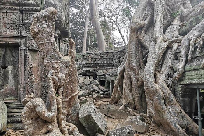 Preah Khan, Ta Prohm, Bayon Off Beaten Track - Practical Considerations & Value