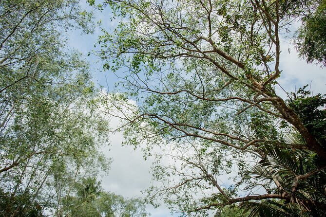 Premium Can Tho Small Canal Tour in Mekong Delta - Frequently Asked Questions