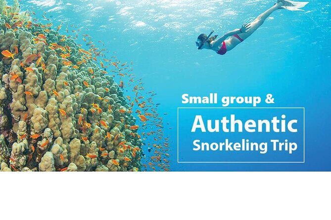 PREMIUM snorkel & islands hopping by SPEEDBOAT-Seafood BBQ(MAX12) - What to Expect Every Step of the Way