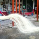 Private 1-Day Tea Experience in Taipei - Visiting a Tea Plantation: Learning from Tea Masters