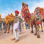 Private 11 Days India Cultural Rajasthan Tour - Who Will Love This Tour?