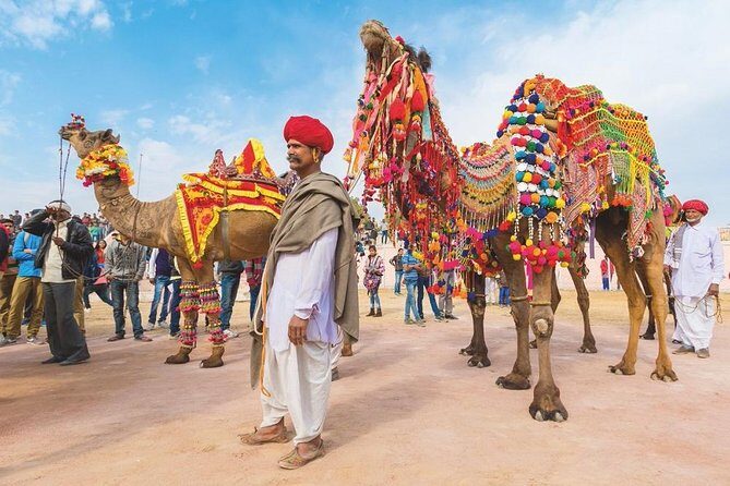 Private 11 Days India Cultural Rajasthan Tour - Who Will Love This Tour?