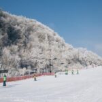 Private 1:1 Ski Lesson near Seoul, South Korea - The Sum Up