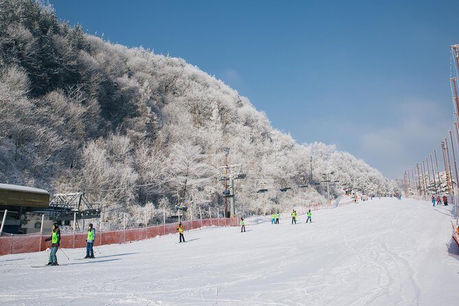 Private 1:1 Ski Lesson near Seoul, South Korea - The Sum Up