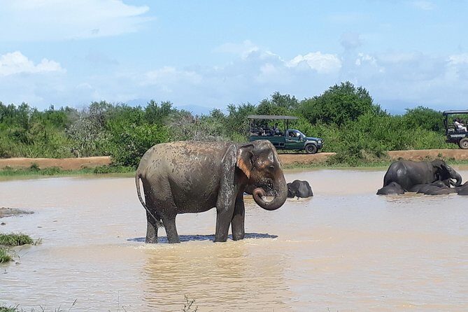 Private 2-Day Trip To Mirissa Beach And Yala From Colombo - Who This Tour Is Best Suited For