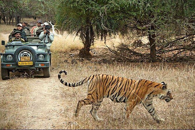 Private 3-Day Ranthambhore Tiger Tour from Agra ending in Jaipur - The Itinerary Breakdown