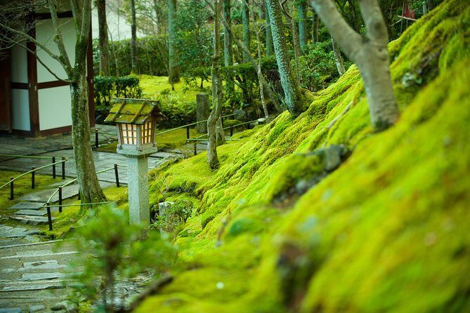 Private 3-hour Kyoto Arashiyama Rickshaw Tour - Final Thoughts: Is This Tour Worth It?