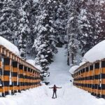 Private 5-Day Charming Kashmir Package Tour from Srinagar - The Experience and Value