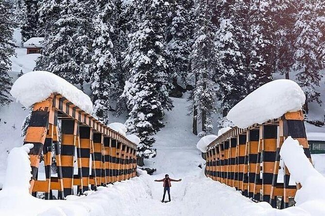 Private 5-Day Charming Kashmir Package Tour from Srinagar - The Experience and Value