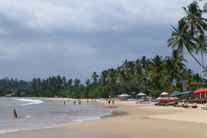 Private 6-Day-Highlights-Tour Around Sri Lanka - Authentic Experiences and Practical Insights
