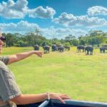 Private 7 Days Sri Lanka Tour with Safari and Cultural sites - Who Will Love This Tour?