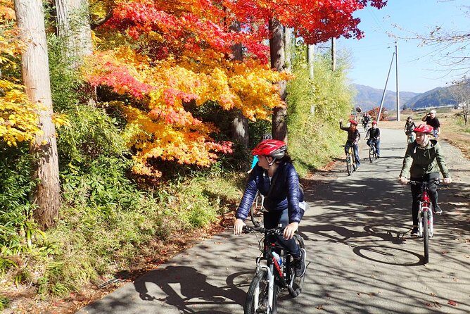 Private Afternoon Cycling Tour in Hida-Furukawa - Who Is This Tour Best For?