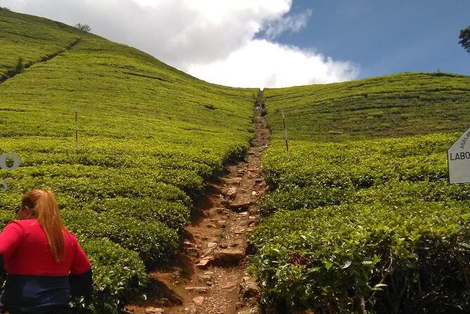 Private all inclusive Day tour Kandy, Pinnawala, & your own selected attractions - Final thoughts