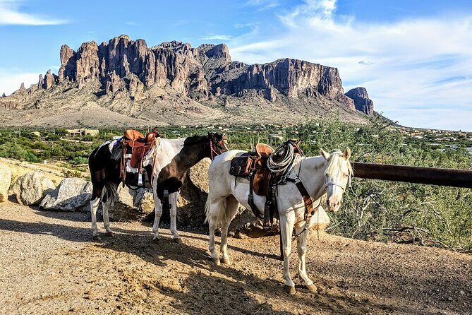 Private Apache Trail Tour with Canyon Lake Cruise - Final Thoughts