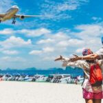 Private Arrival Transfer : Koh Samui Airport to Koh Samui Hotel (SHA Plus) - What to Expect During Your Transfer