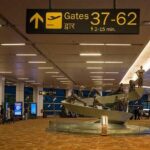 Private Arrivals From New Delhi Airport - What to Expect on Arrival and During Your Transfer