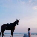 Private Bali Horse Riding In Seminyak Beach - The Practical Side: Transportation, Timing, and Value