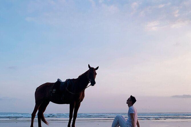 Private Bali Horse Riding In Seminyak Beach - The Practical Side: Transportation, Timing, and Value