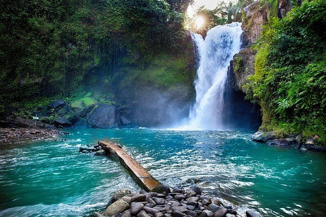 Private Bali swing, waterfall instagramable tour - Why This Tour Works Well