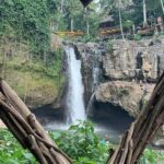 Private Bali Tour: Kintamani Volcano and Besakih Temple - Who Should Book This Tour?