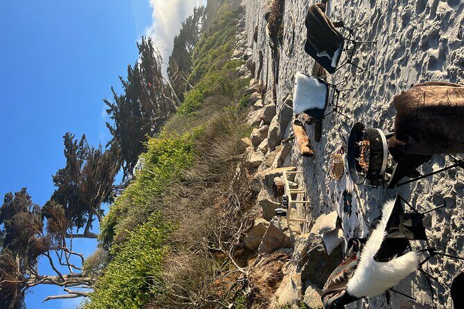 Private Beach Bonfire in Carmel-by-the-Sea - Practical Tips