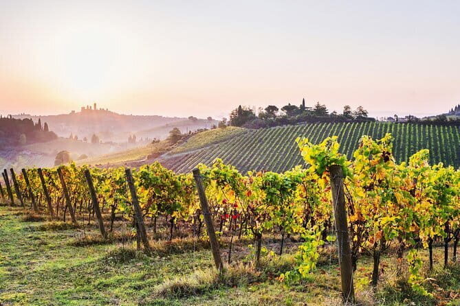 Private Best of Tuscany Hill Towns Tour with lunch from Florence - Transportation and Logistics