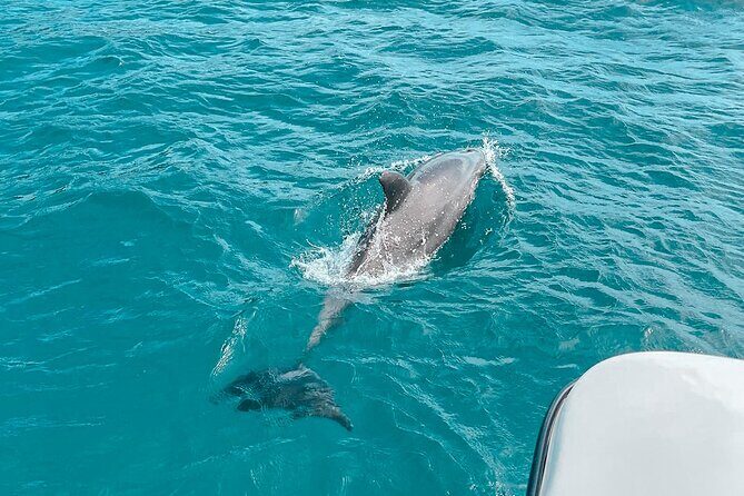 Private Boat Tour with Dolphin Spotting and Snorkelling from Phuket - What Makes This Tour Stand Out