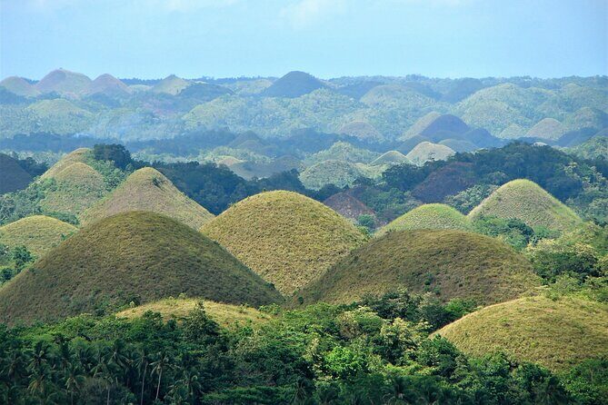 Private Bohol and Chocolate Hills with Loboc River Cruise - Why This Tour Stands Out