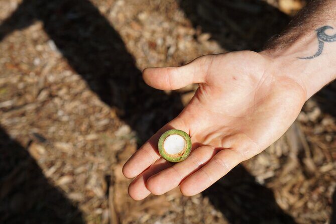 Private Botanical Garden Experience in the Heart of Maui - Exploring the Maui Nui Botanical Garden Experience