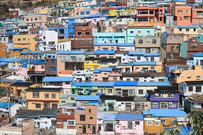 Private Busan tour with gamcheon culture village and the temple (Customizable) - What to Expect from Each Stop