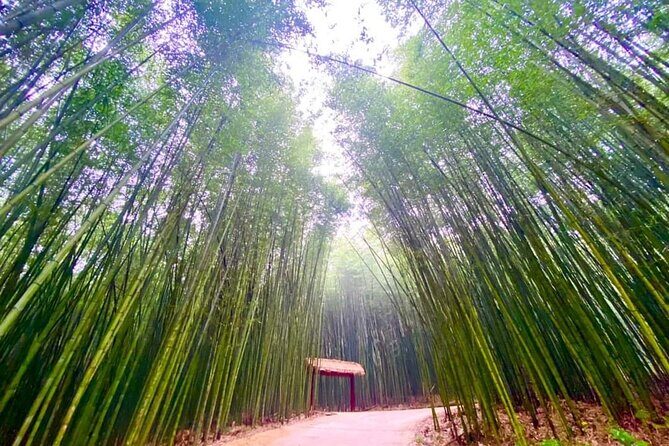 Private Car and Tour Guide Exploring Northern Vietnam - Who Is This Tour Best For?