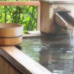 Private Car Day Trip to the Kobe Mountains, Gardens and Hot Springs from Osaka - Mount Rokko: The Cable Car Ride and Panoramic Views