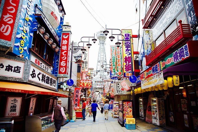 Private Car Full Day Tour of Osaka Temples, Gardens and Kofun Tombs - Why This Tour Is a Great Fit