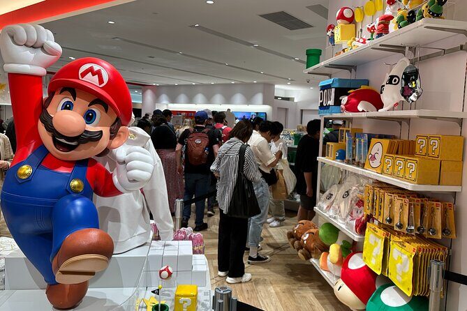 Private Car Tour for Anime Manga Game and Otaku Tour in Tokyo - The Practicalities: What to Expect