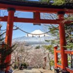 Private Car Tour to Mt. Fuji Lake Kawaguchiko or Hakone - The Sum Up: Who Should Book This Tour?