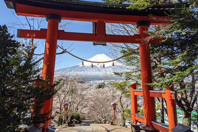 Private Car Tour to Mt. Fuji Lake Kawaguchiko or Hakone - The Sum Up: Who Should Book This Tour?
