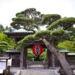 Private Car Tour to see Highlights of Kamakura, Enoshima, Yokohama from Tokyo - Why This Tour Offers Excellent Value